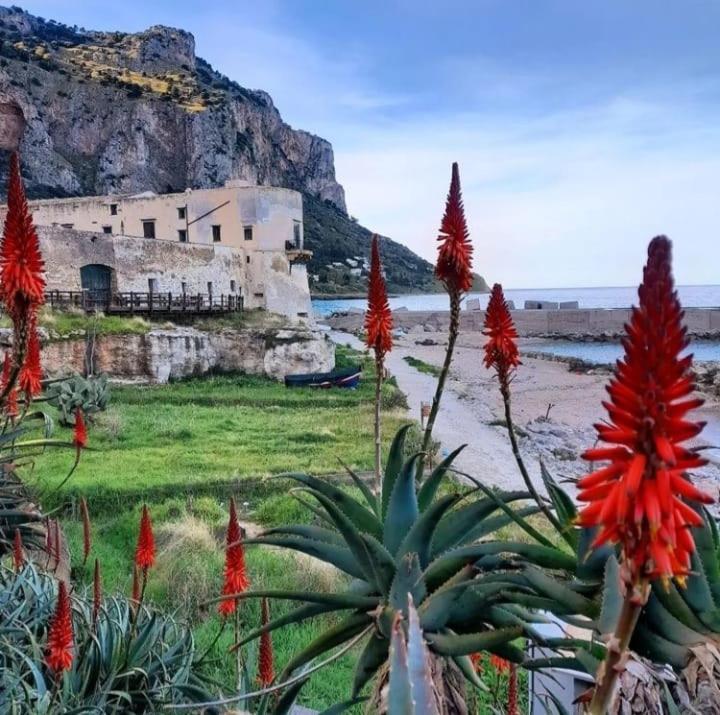 Bleu Bijou Apartment Palermo Kültér fotó